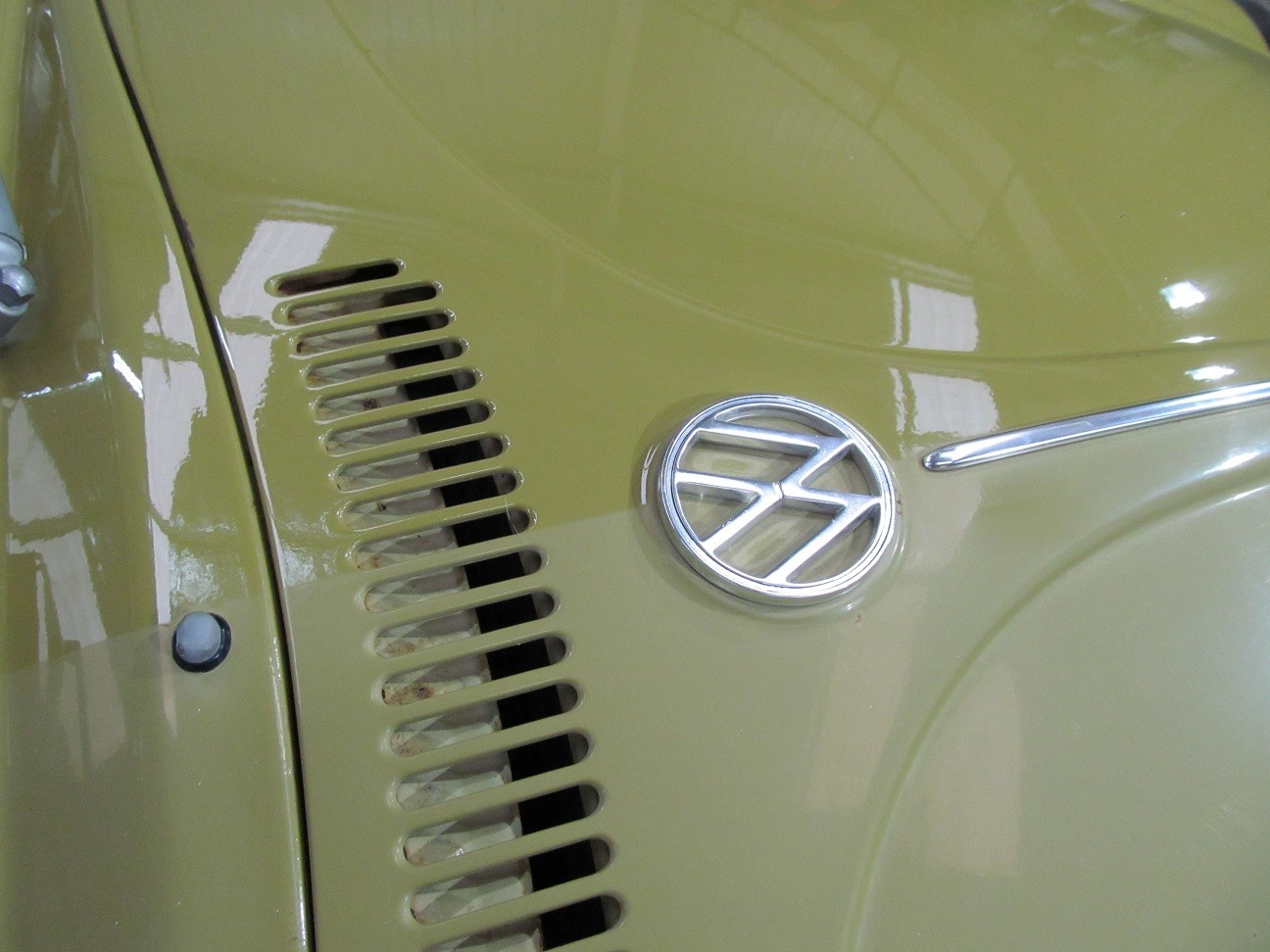 beetle5