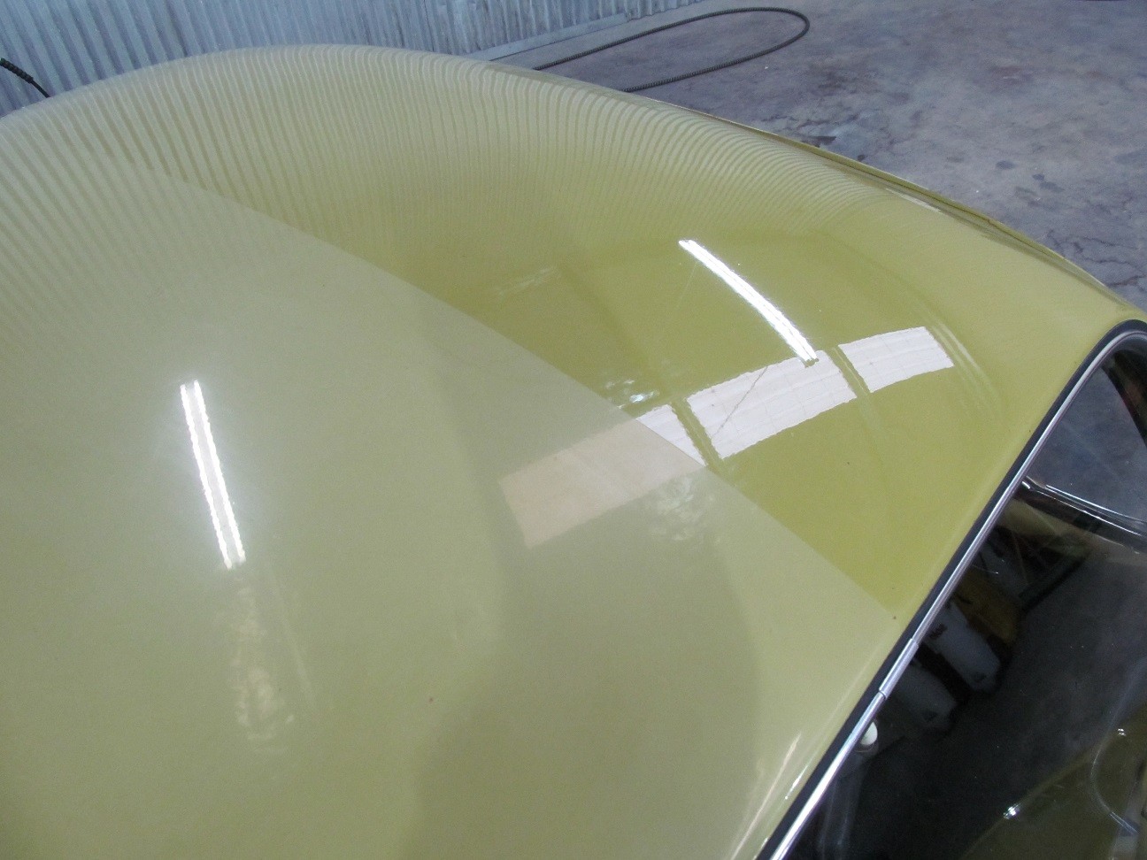 beetle6