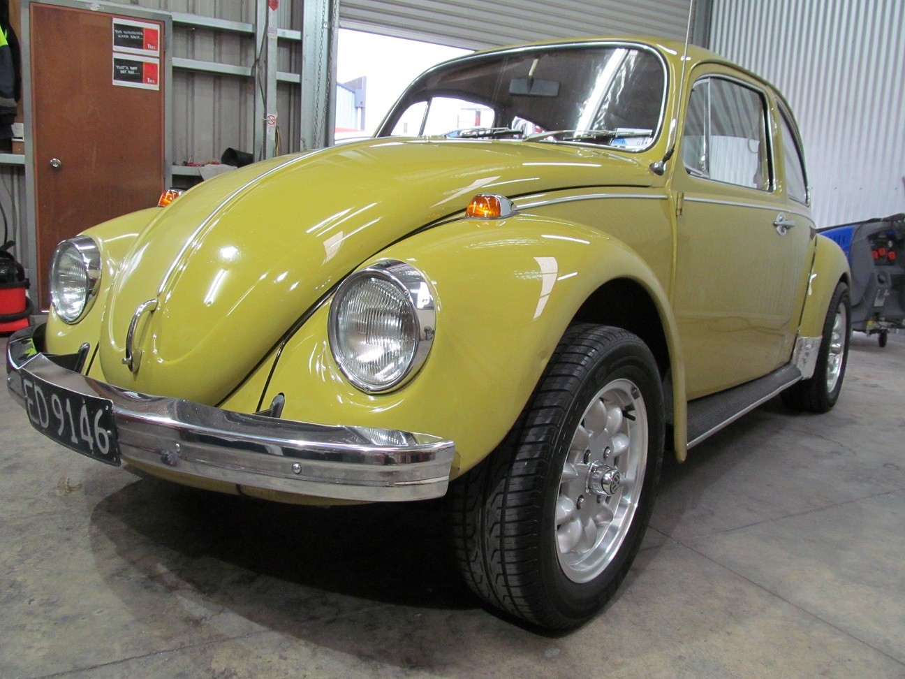 beetle7