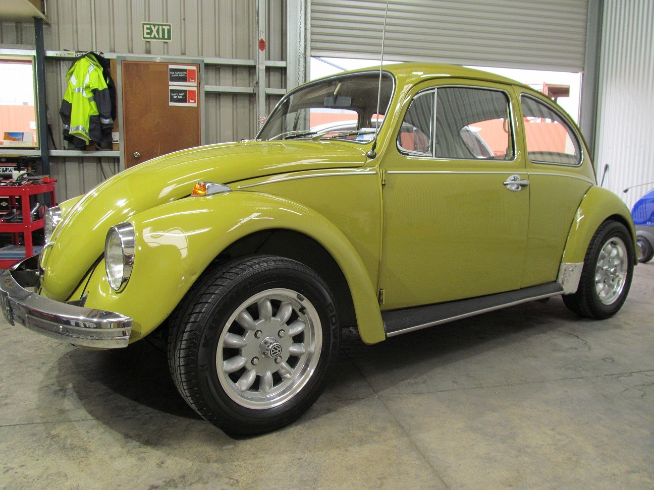 beetle8