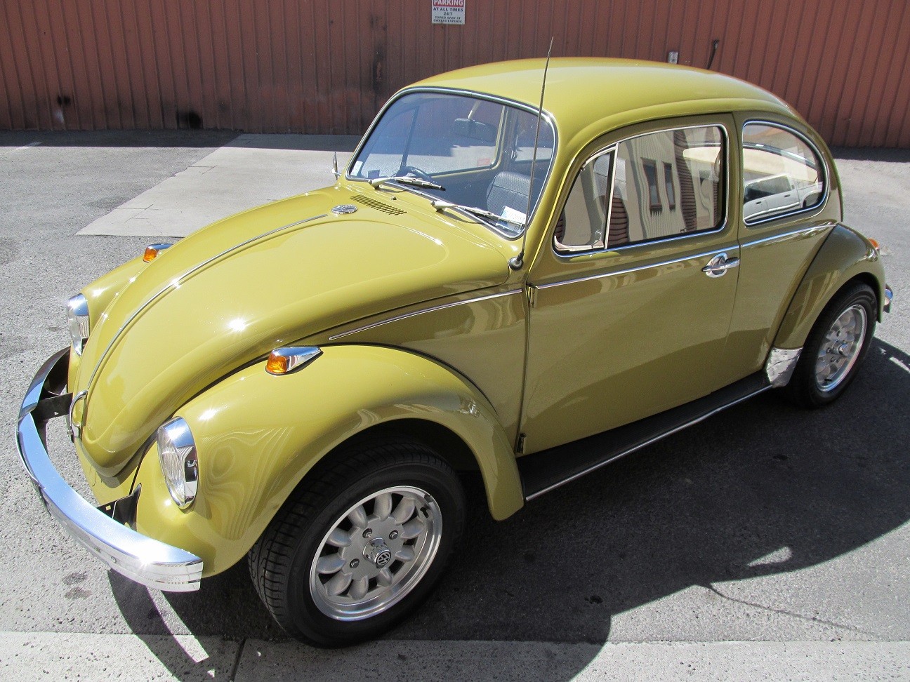 beetle9