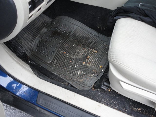 Before Picture