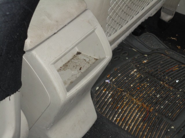 Before Picture