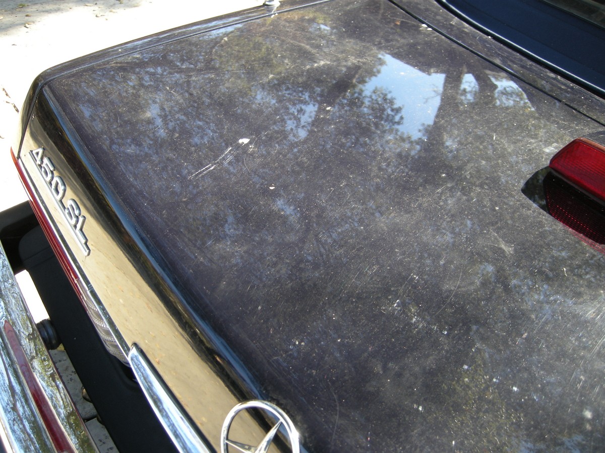 Before_trunk3