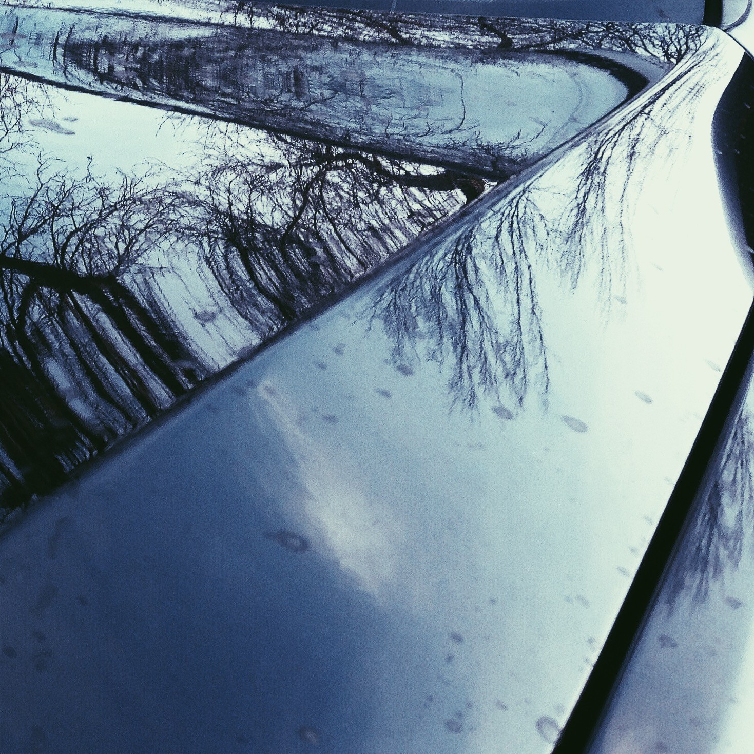 Bird Droppings BMW_02