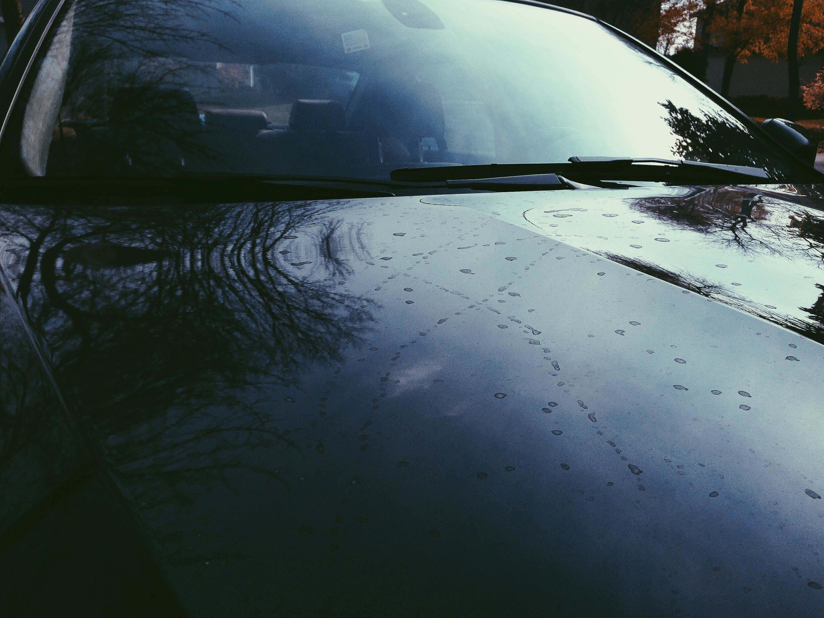 Bird Droppings BMW_03