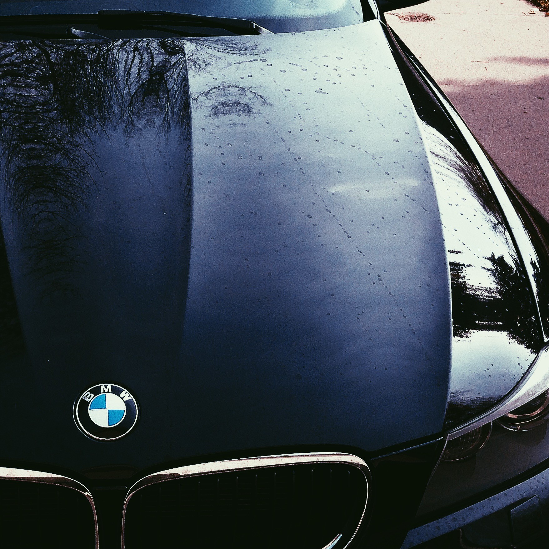 Bird Droppings BMW_04