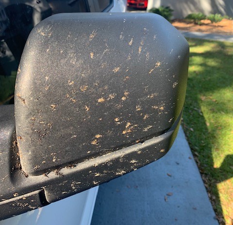 BLACKFIRE Bug BLOCKER Ford Truck