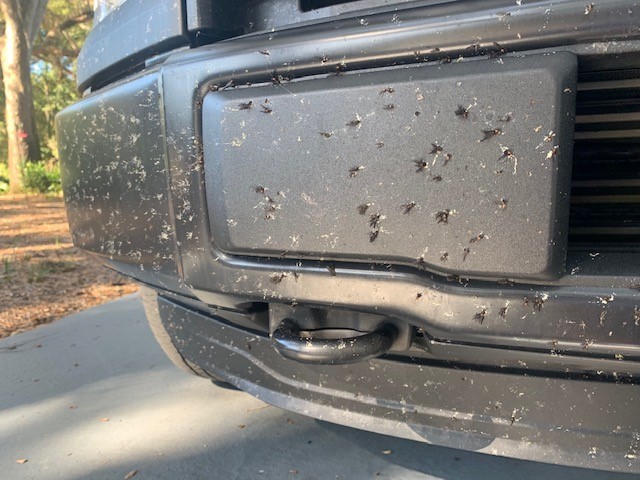 BLACKFIRE Bug BLOCKER Ford Truck