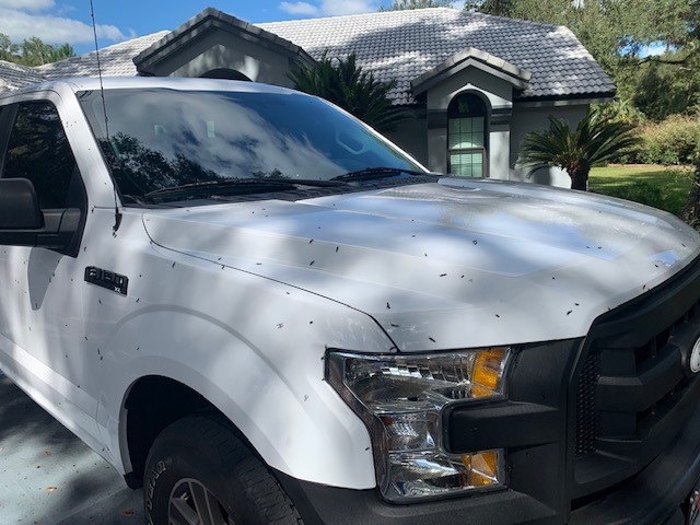 BLACKFIRE Bug BLOCKER Ford Truck