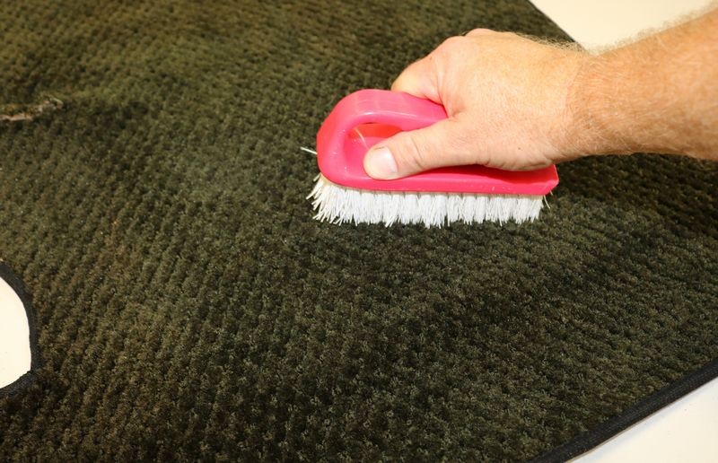 Blackfire Carpet and Upholstery