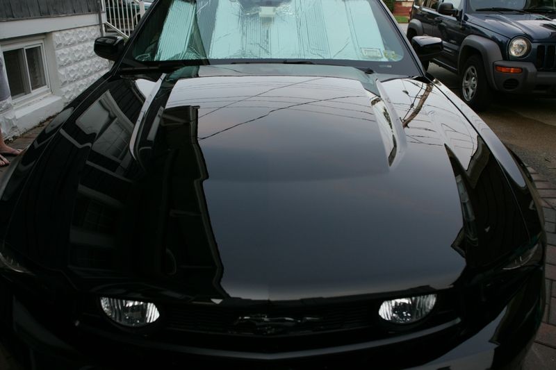 Blackfire Deep Gloss Spray 5