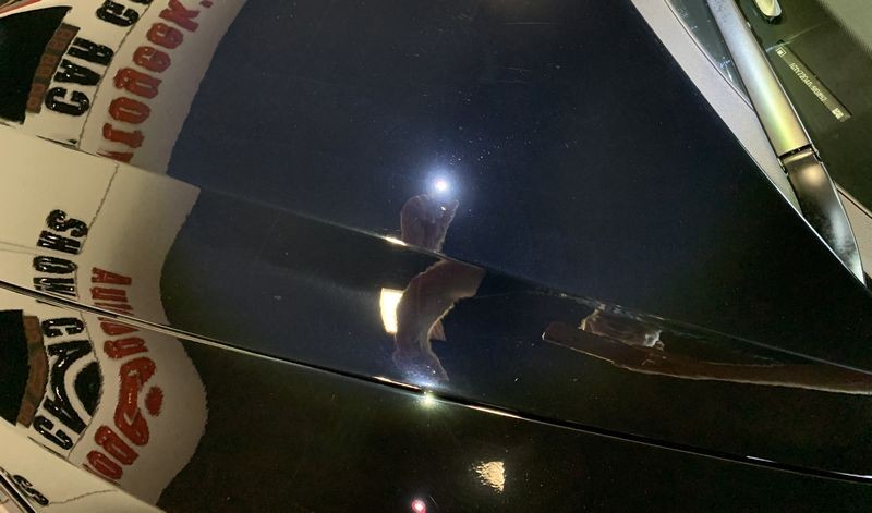 BLACKFIRE Pro Ceramic Paint Coating Black Edition