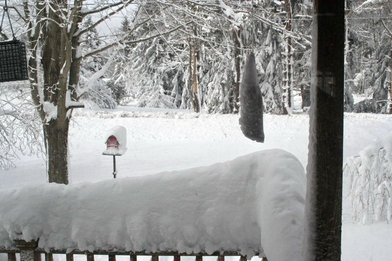 Blizzard_09-Feb-13_003