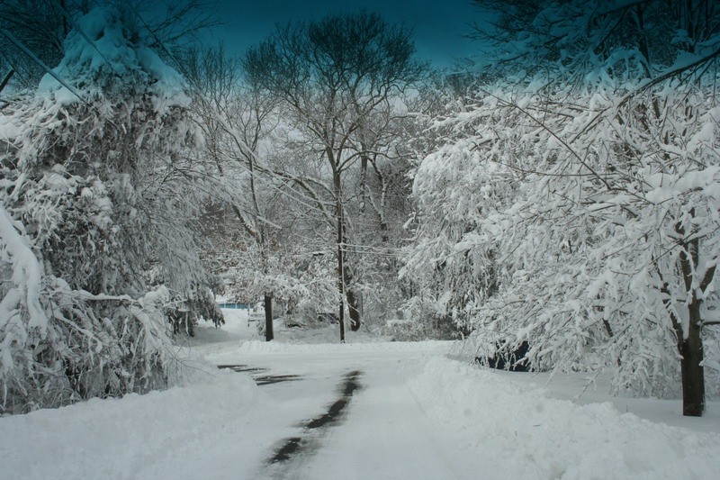Blizzard_09-Feb-13_021