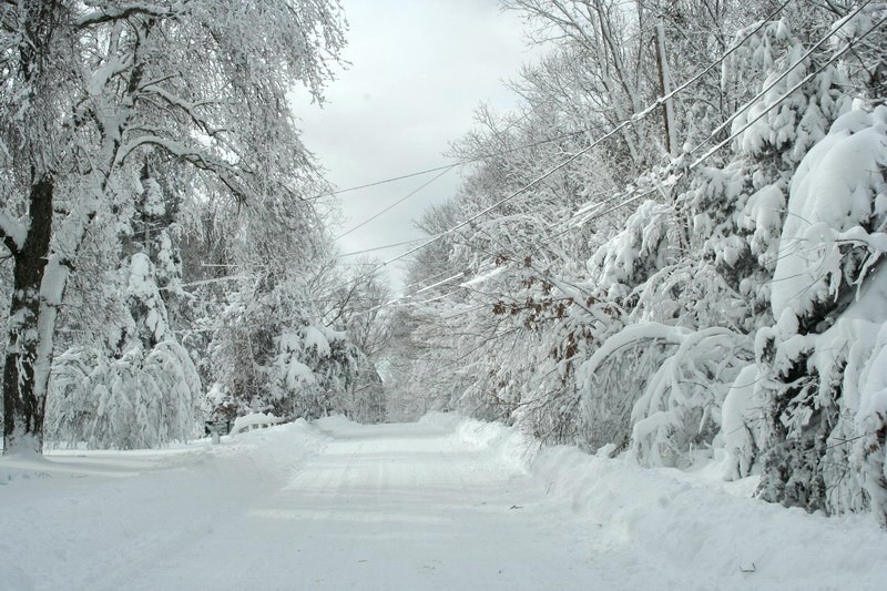 Blizzard_09-Feb-13_024
