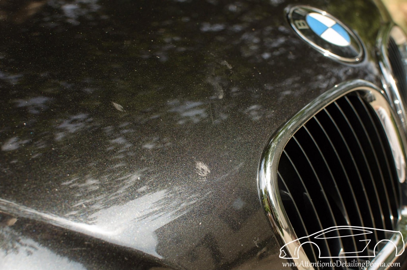 BMW Z3 - CQFinest