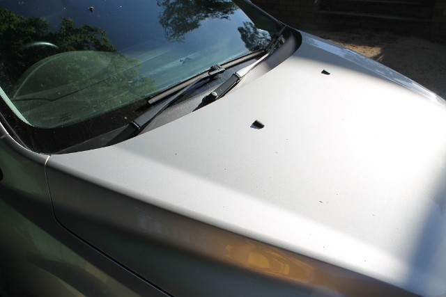 Bonnet Before