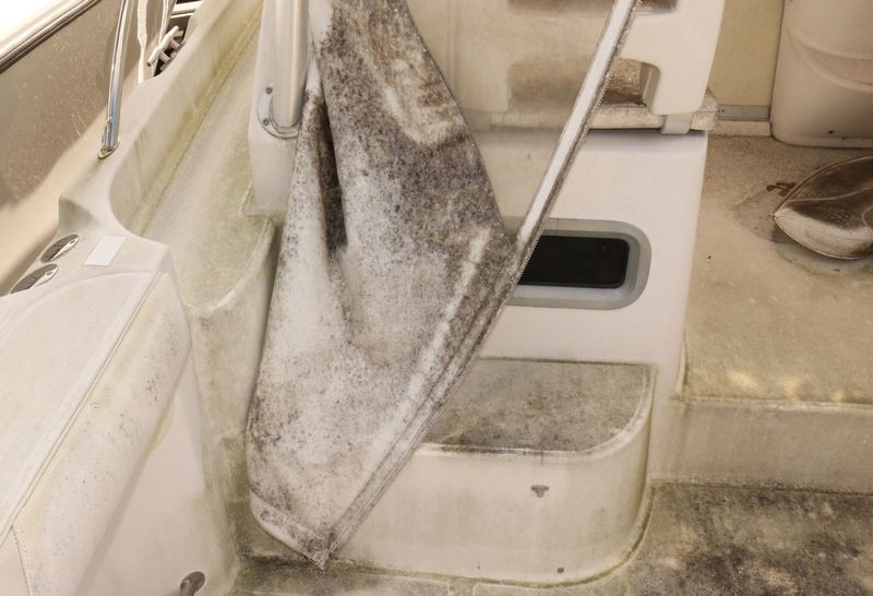 Boston Whaler 305 Conquest Mike Phillips