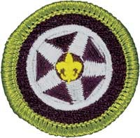 Boy Scouts Troop 840 at Autogeek with Mike Phillips 2017