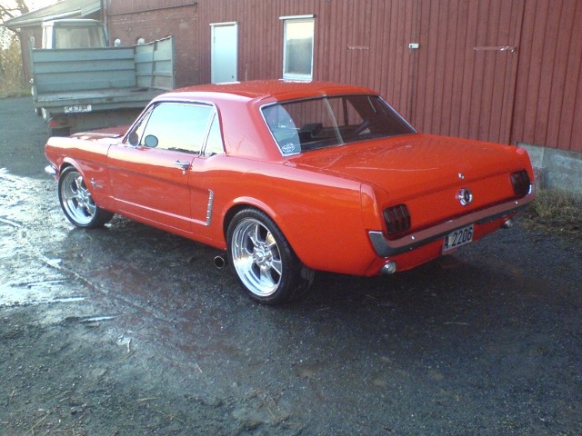 Bronco-Stang