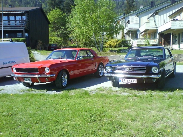 Bronco-Stang