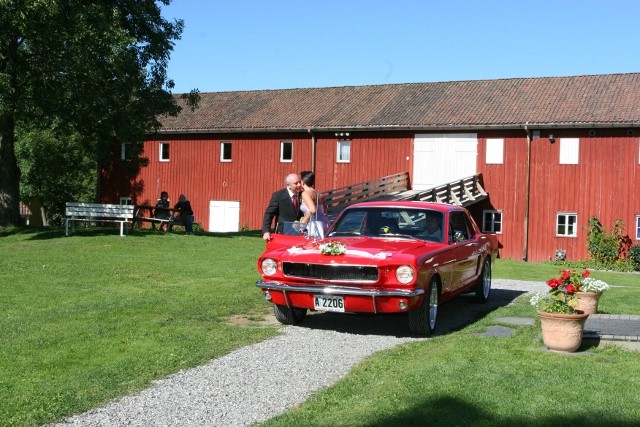 Bronco-Stang