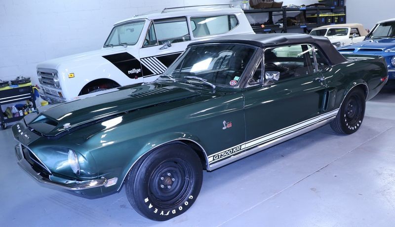 Bucket List Buff 1968 Shelby Mustang GT500KR by Mike Phillips