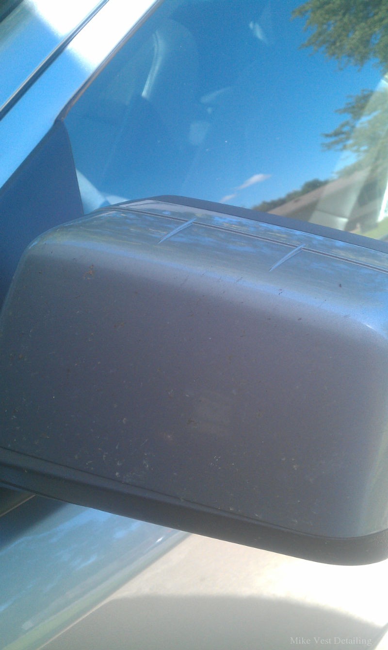 Buggy Side Mirror 1