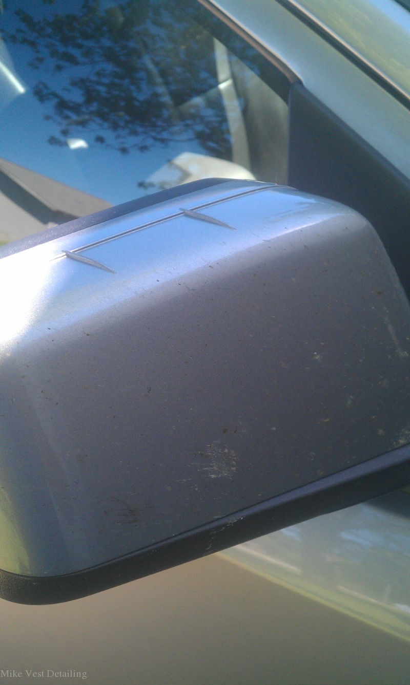 Buggy Side Mirror 2
