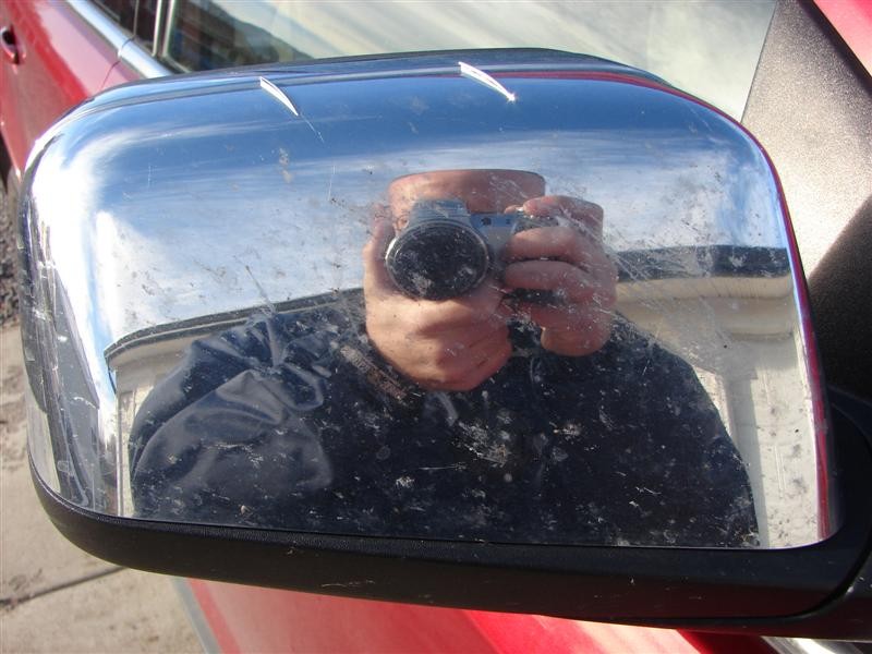Bugs_Mirror