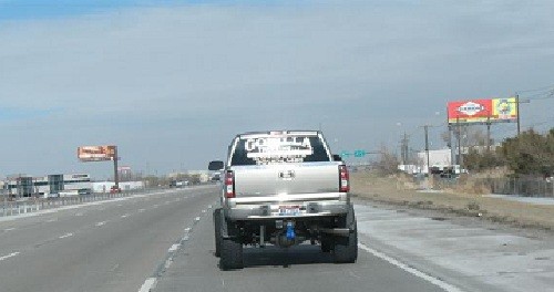 bull_balls