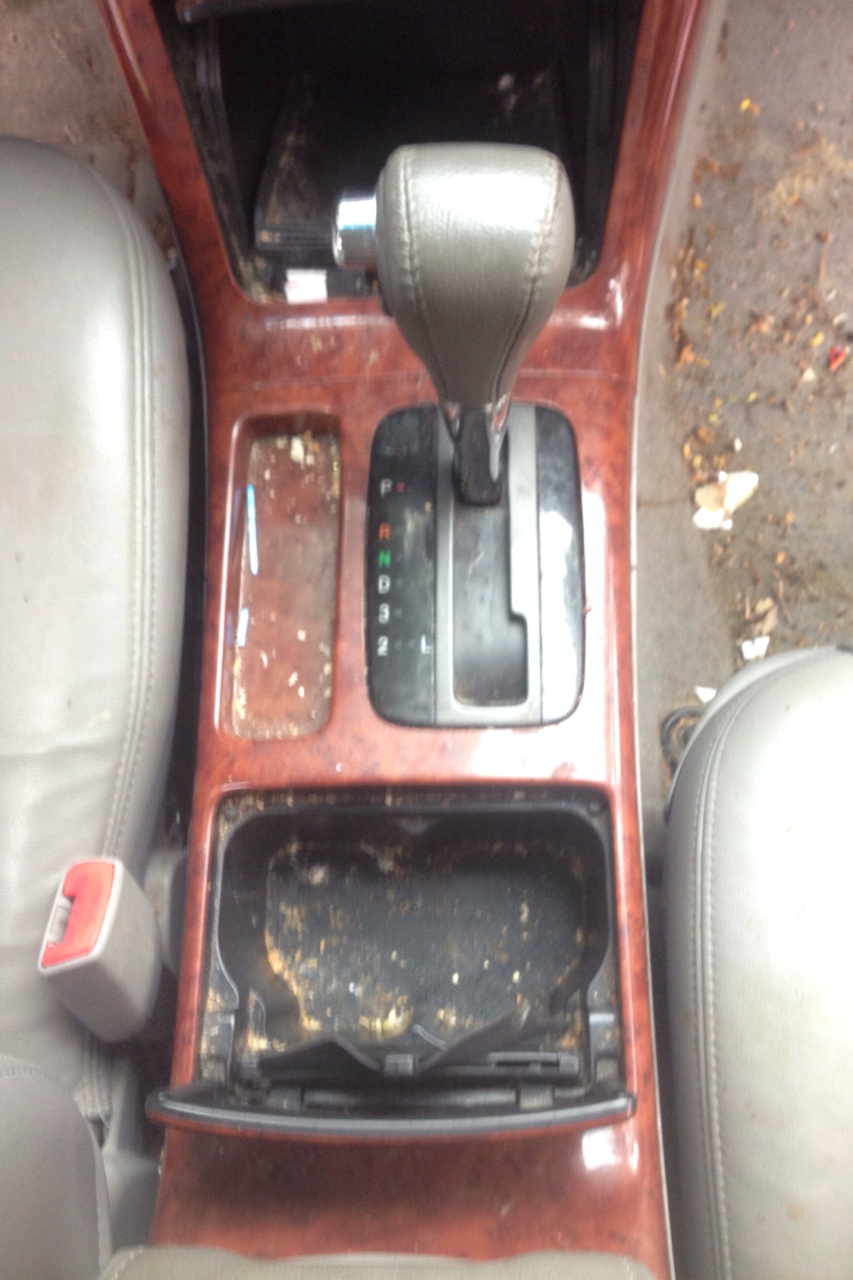 Camry13