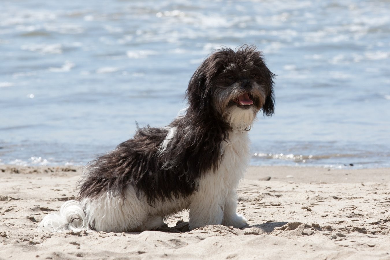 Cannon_Beach_08_17_2011-34