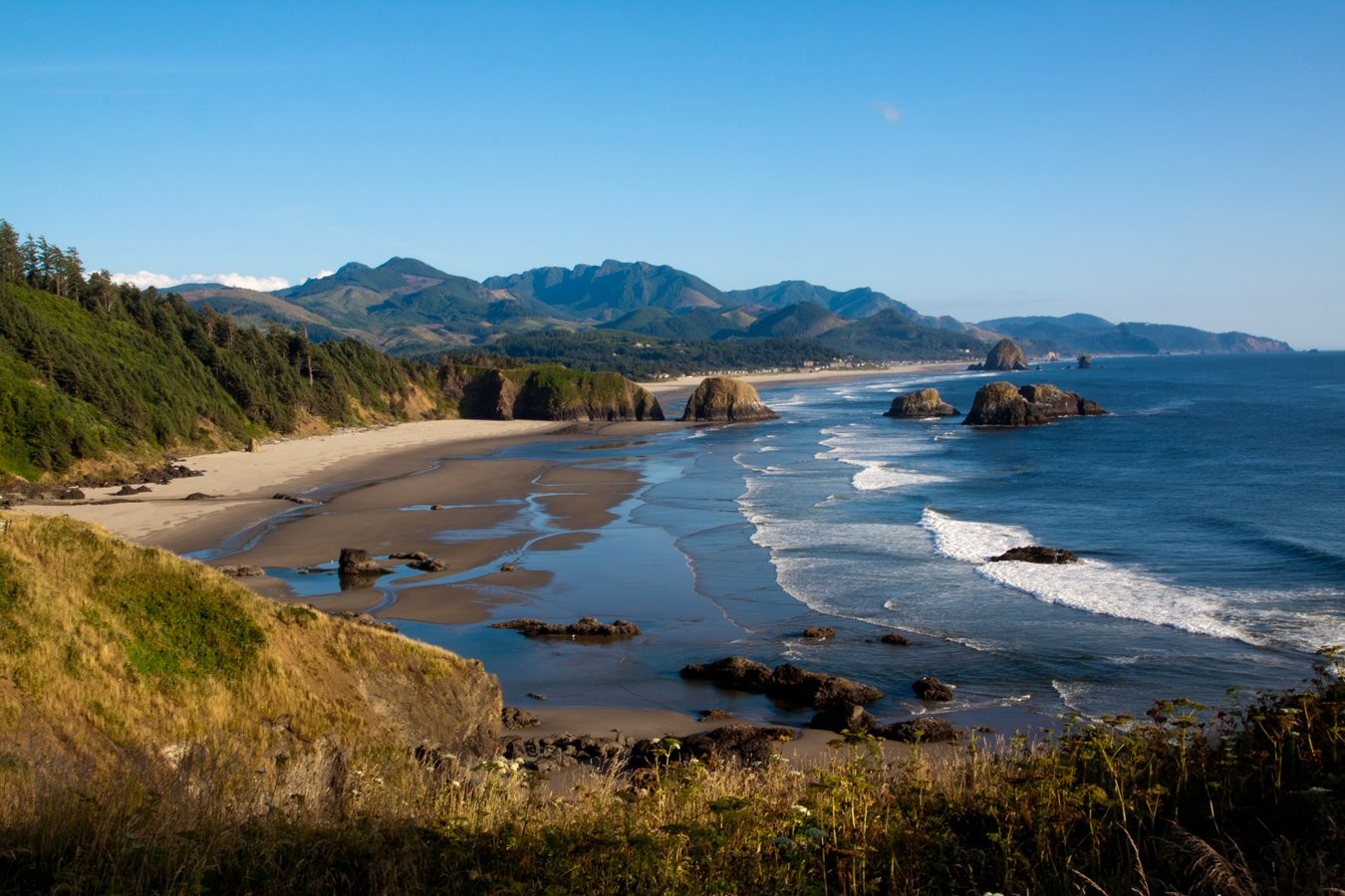 Cannon_Beach_Scenes_2011-11