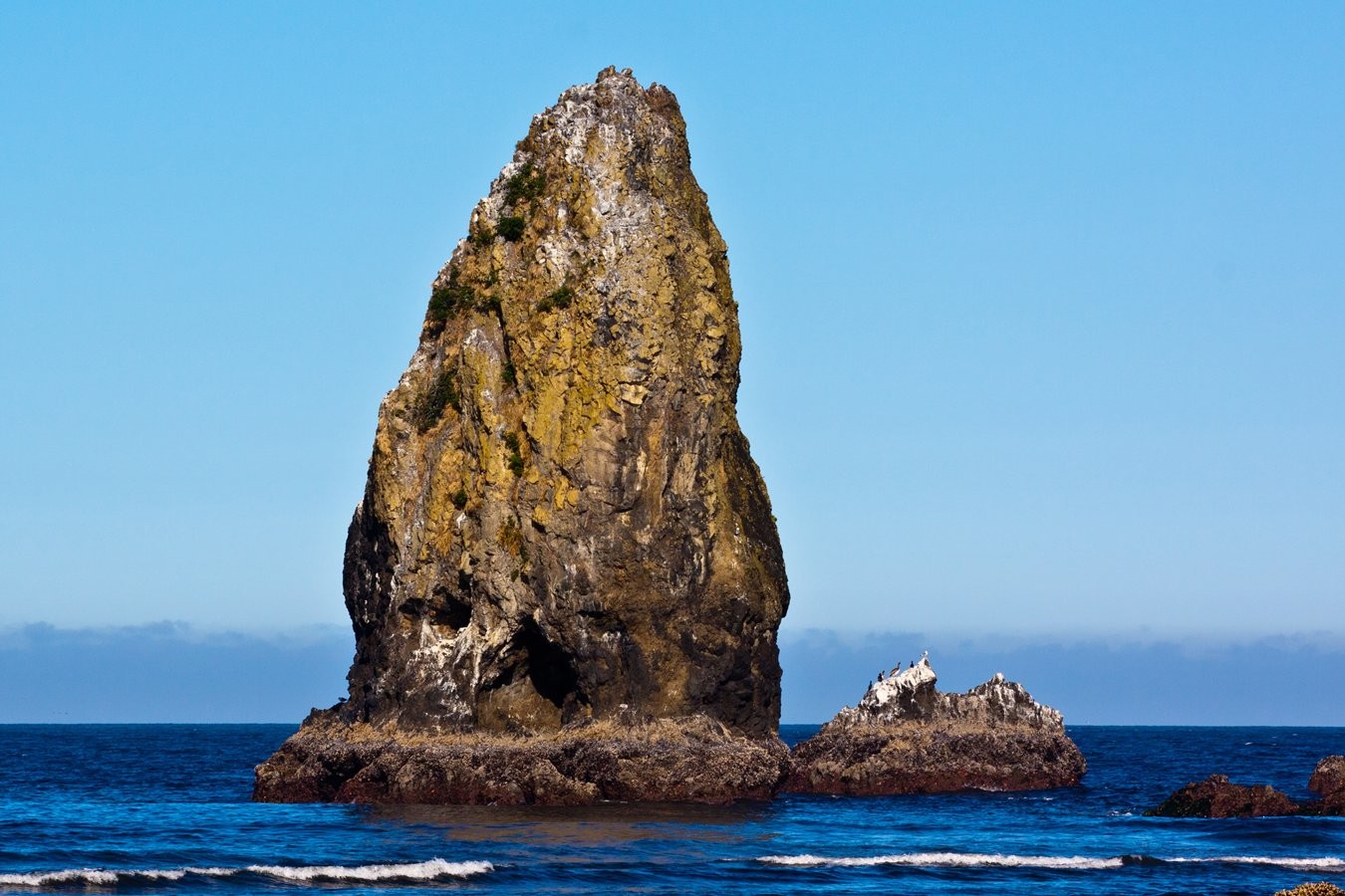 Cannon_Beach_Scenes_2011-13