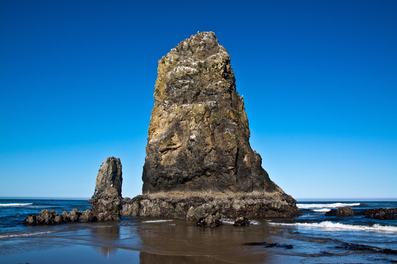 Cannon_Beach_Scenes_2011-14