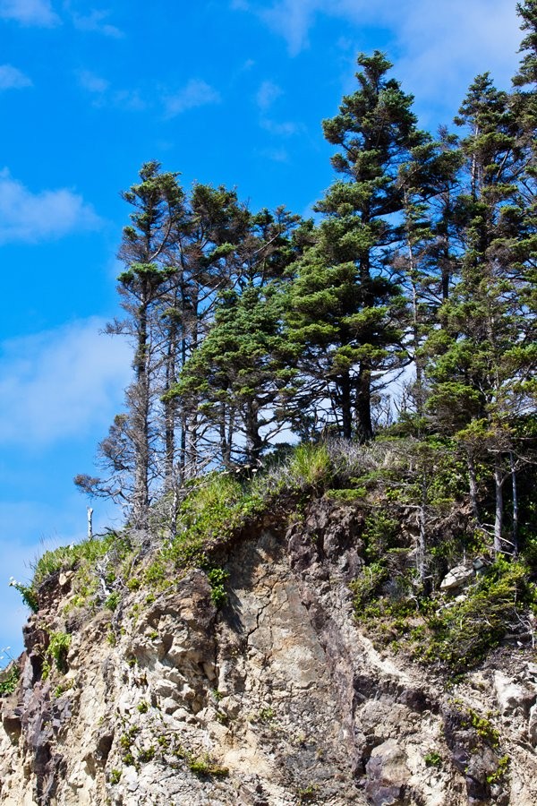 Cannon_Beach_Scenes_2011-25