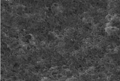 CarbonNanotube_Polymercomposite1