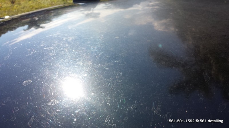 CarDetailingBoyntonBeach561detailing_10