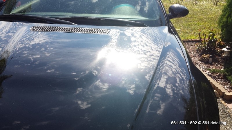 CarDetailingBoyntonBeach561detailing_32