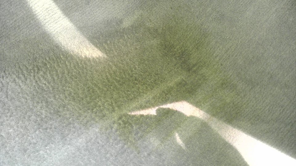carpet