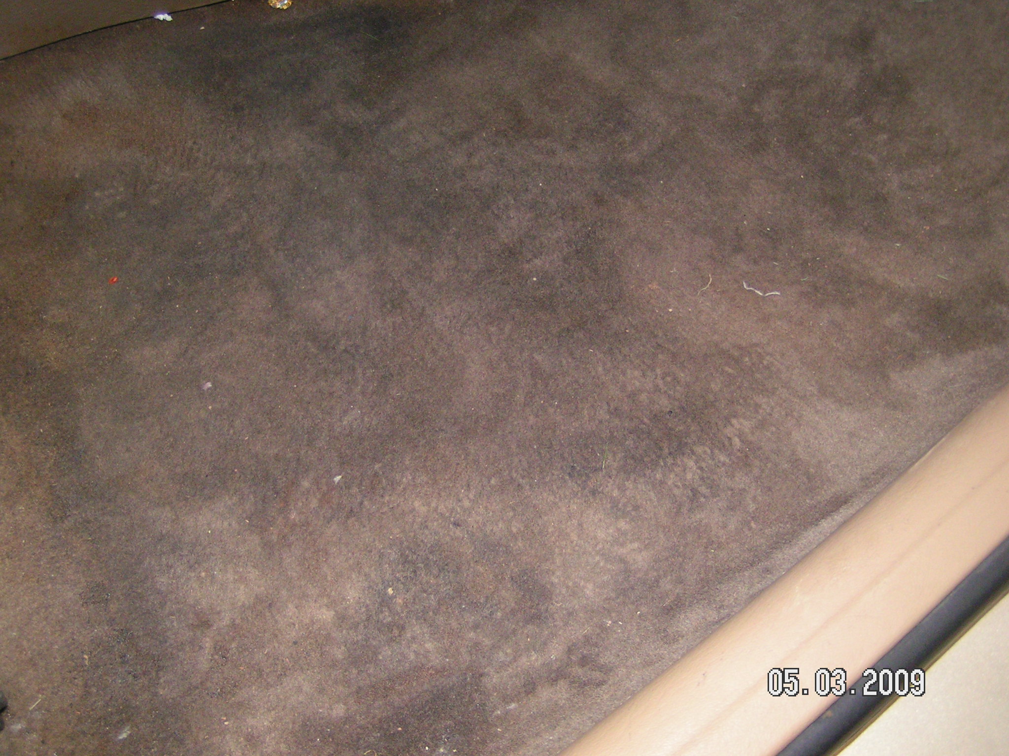 carpet