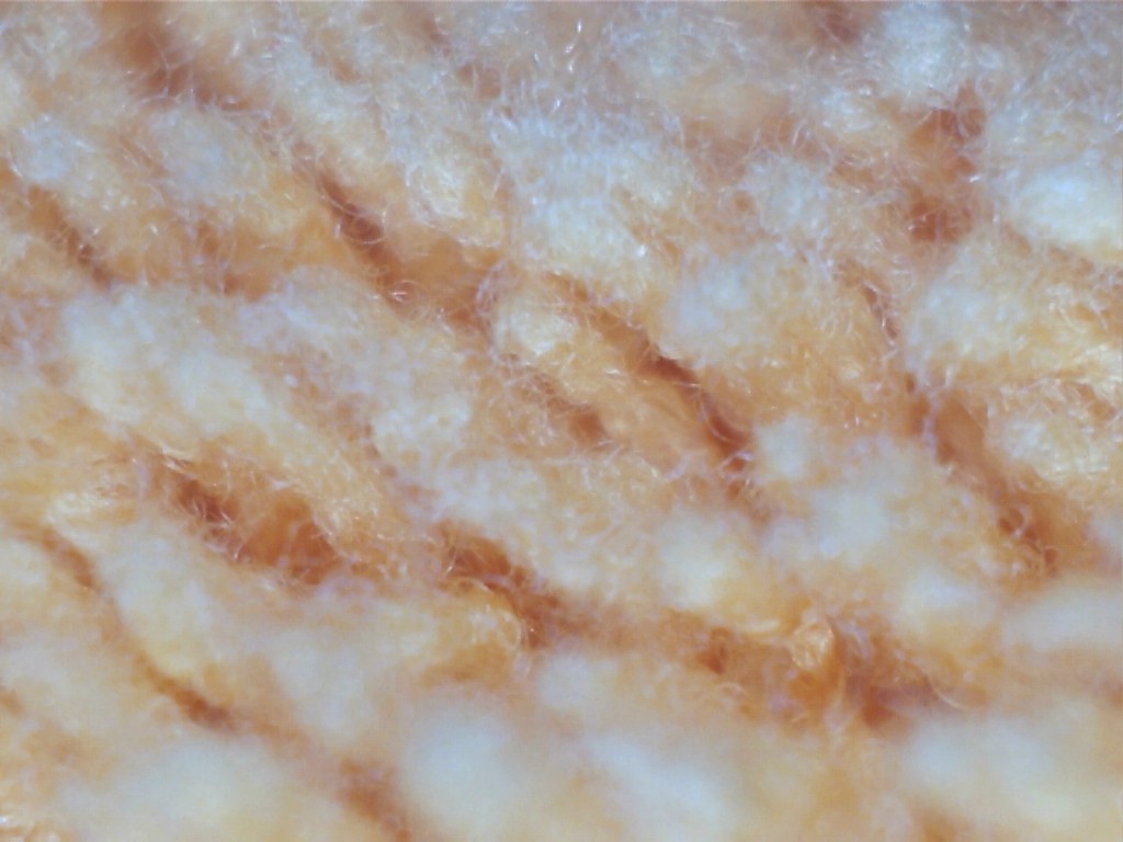 CarPro_Orange_MF_x40