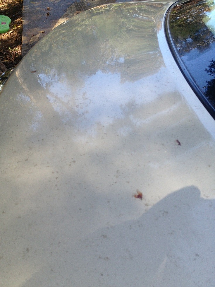 cars_detailed_006_6