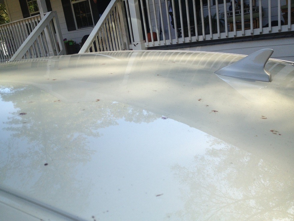 cars_detailed_009_9