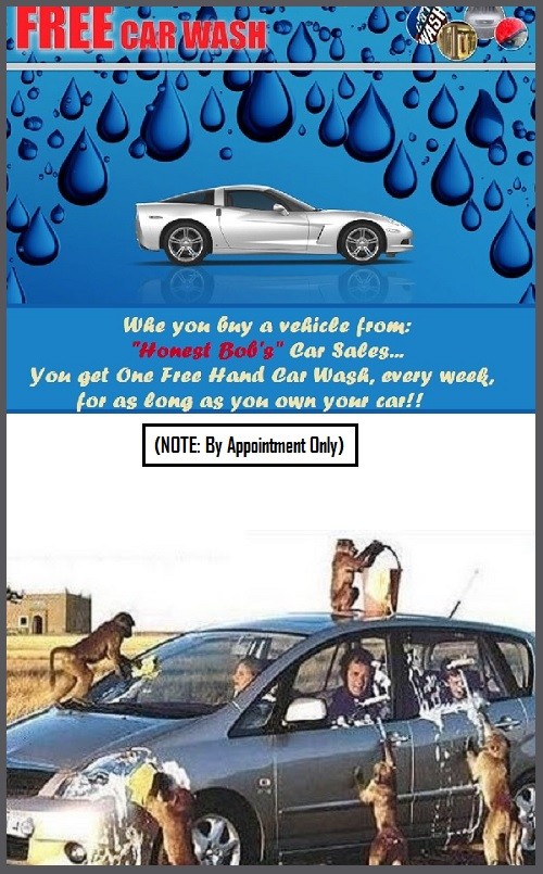 carwashMonkeys