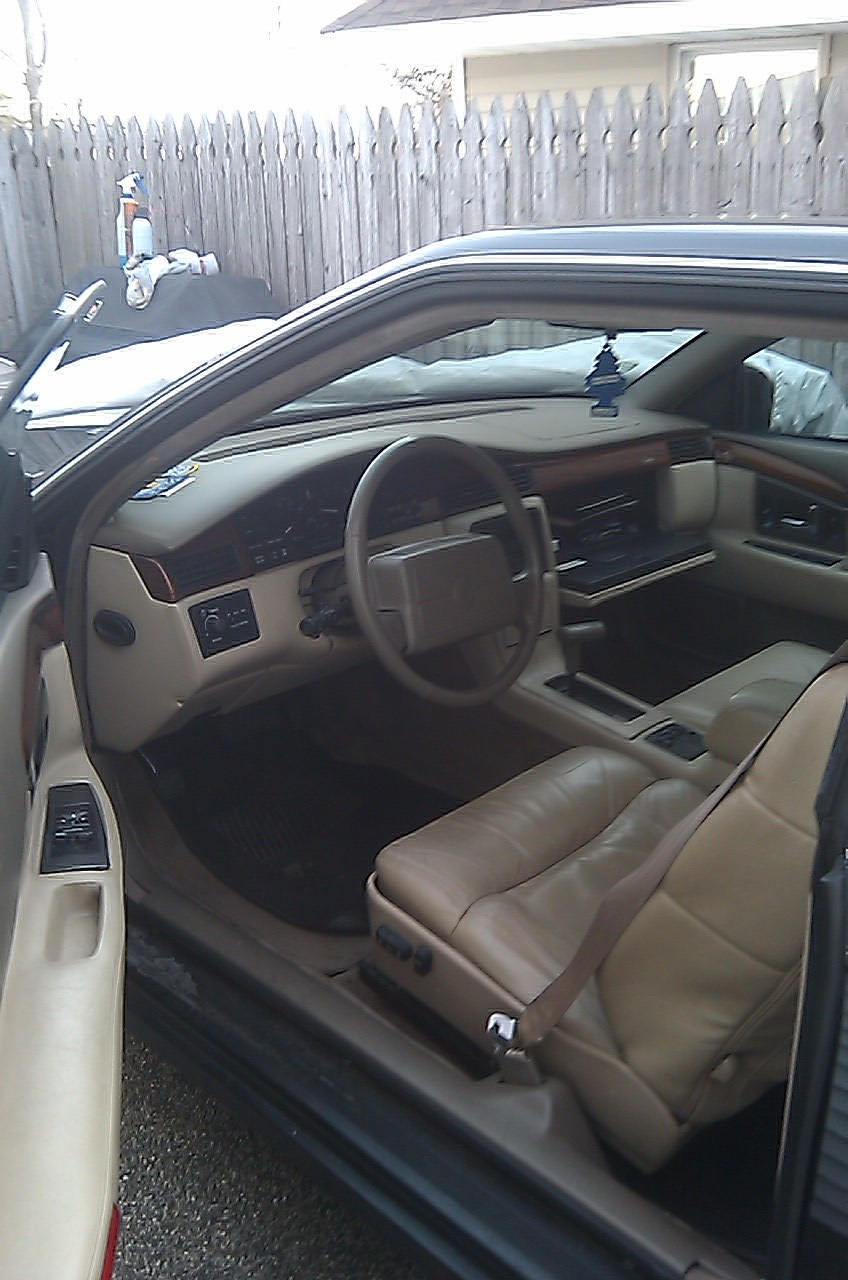 cell_pic_02_13_11_046