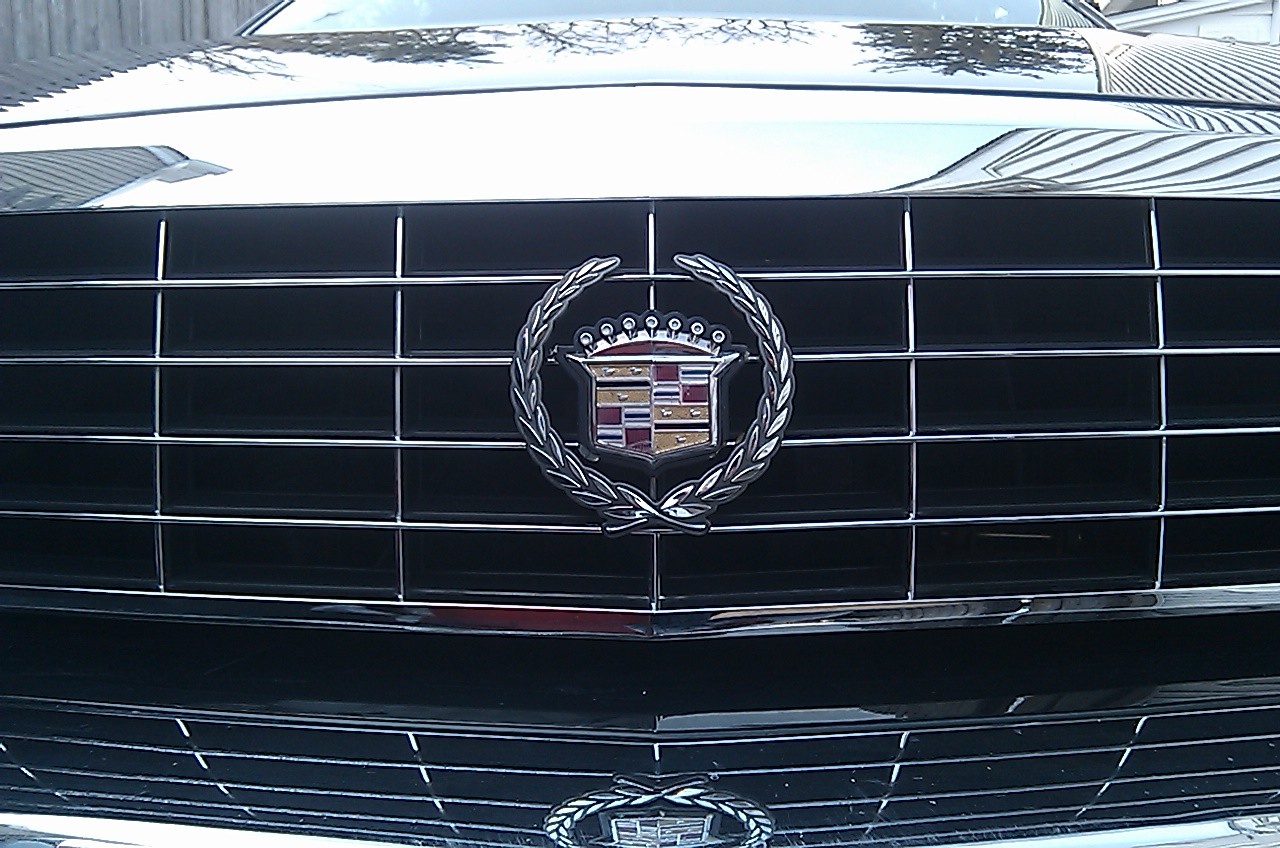 cell_pic_02_13_11_051