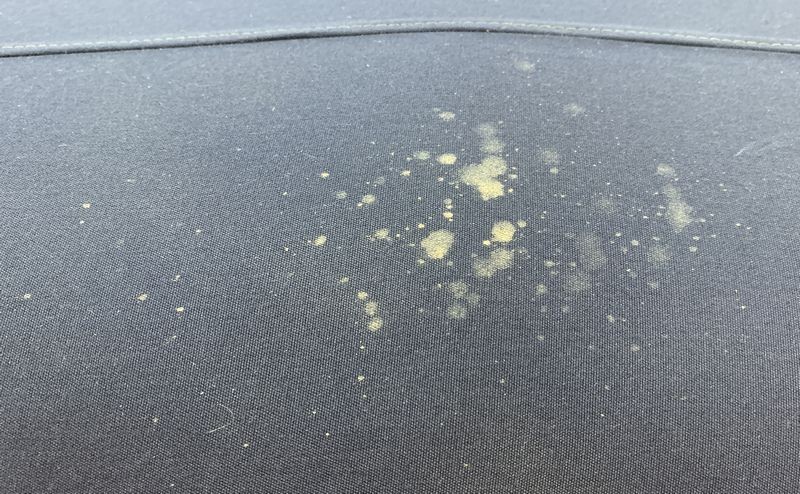 clean and protect a canvas convertible top mike phillips